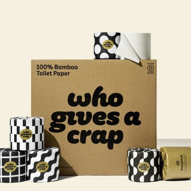 Who Gives A Crap 100% bamboo toilet paper box and printed rolls